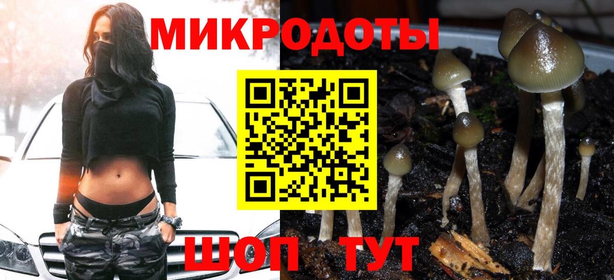 Псилоцибиновые грибы мицелий  Вход с VPN  Симферополь 
